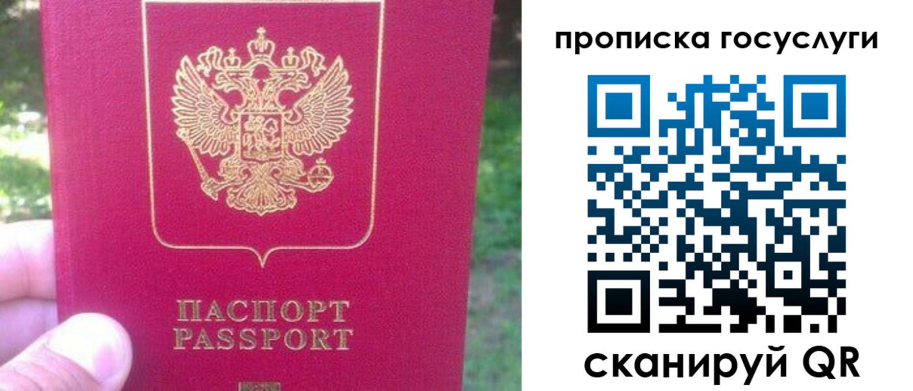 временная регистрация собственник в Скопине